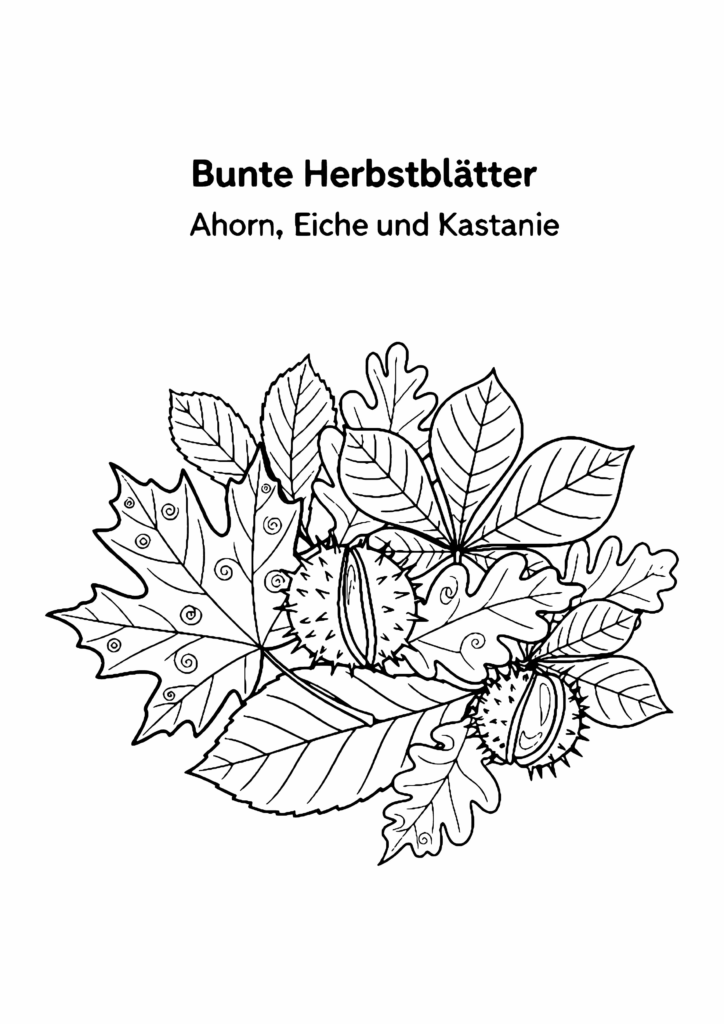 Fensterbild-Vorlage Herbstblätter: Strauß aus Ahorn-, Eichen- und Kastanienblättern mit Kastanien in der Schale, mit der Überschrift Bunte Herbstblätter, als Ausmalbild