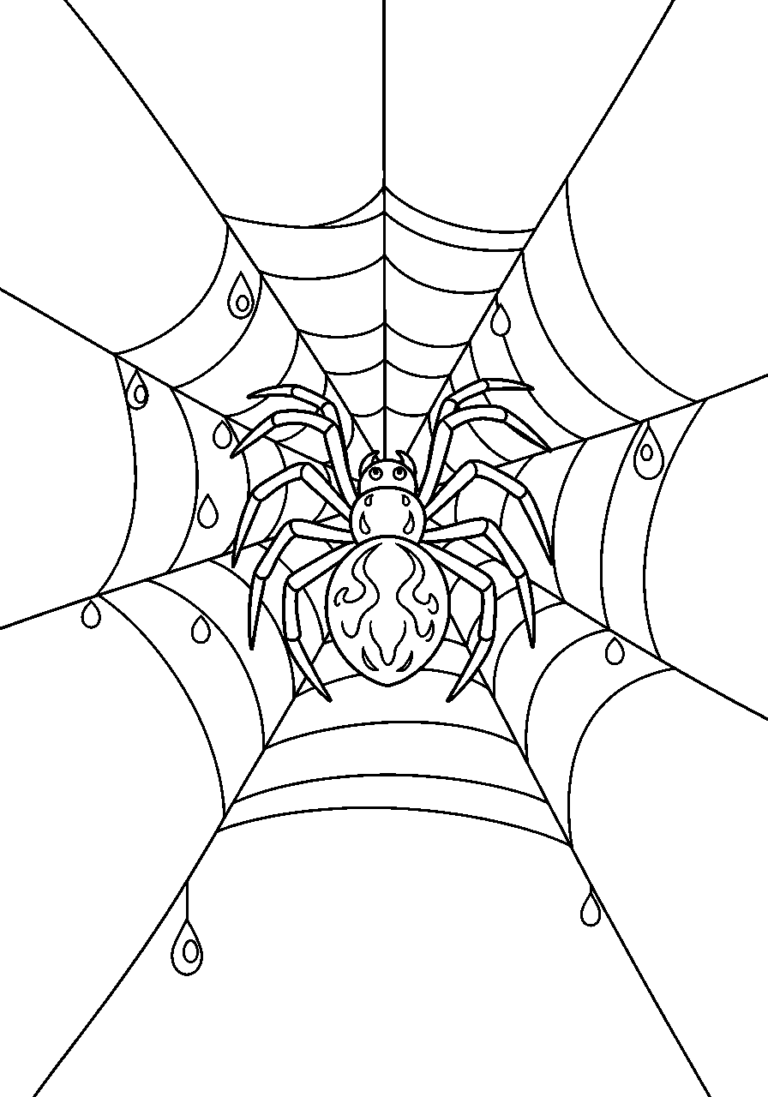 Spinne im Spinnennetz mit Tautropfen