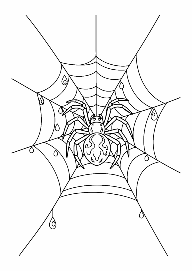 Fensterbild-Vorlage Spinne im Netz: große Spinne in der Mitte eines Spinnennetzes, das über das ganze Blatt gespannt ist, als Ausmalbild